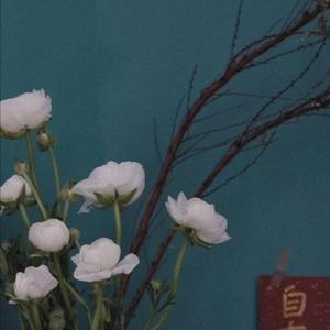 日韩久久av免费
