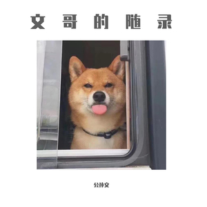 日韩久久av免费
